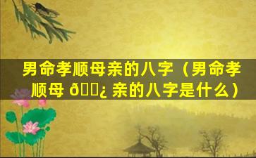 男命孝顺母亲的八字（男命孝顺母 🌿 亲的八字是什么）